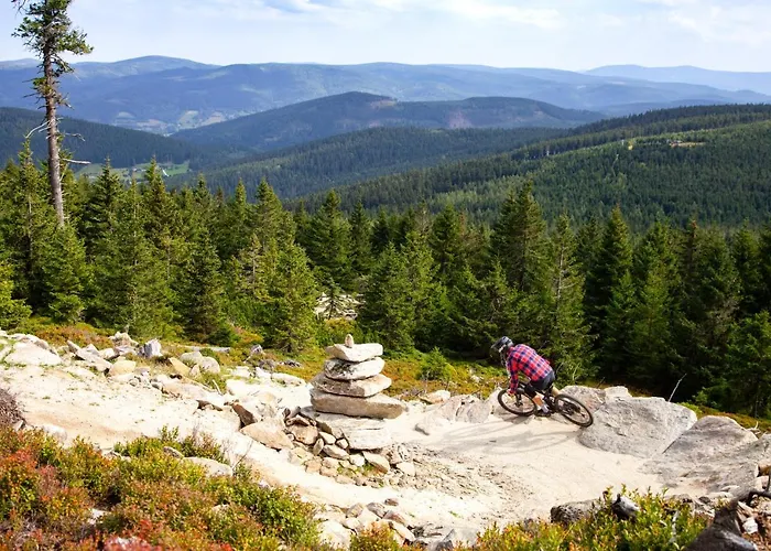 Apartment Czarna Gora 310 3*